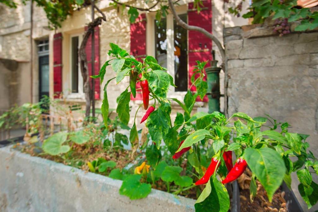 Mini Maison Studio Ancienne Renovee +Parking Авиньон Екстериор снимка